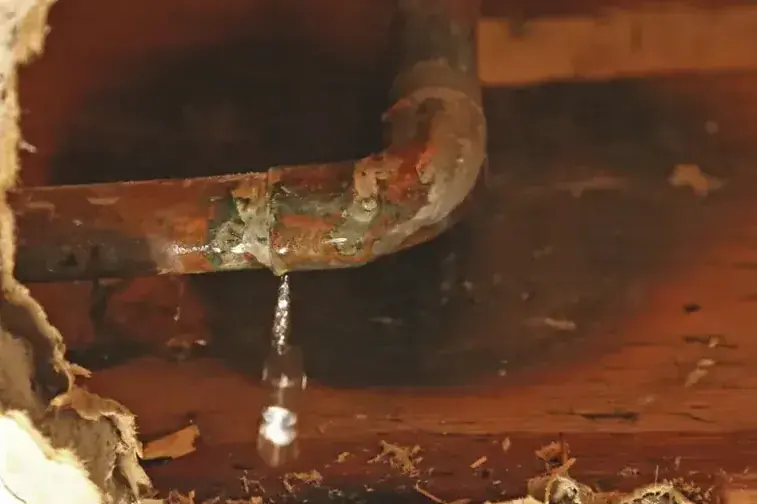 Copper pipe dripping inside an opened wall cavity