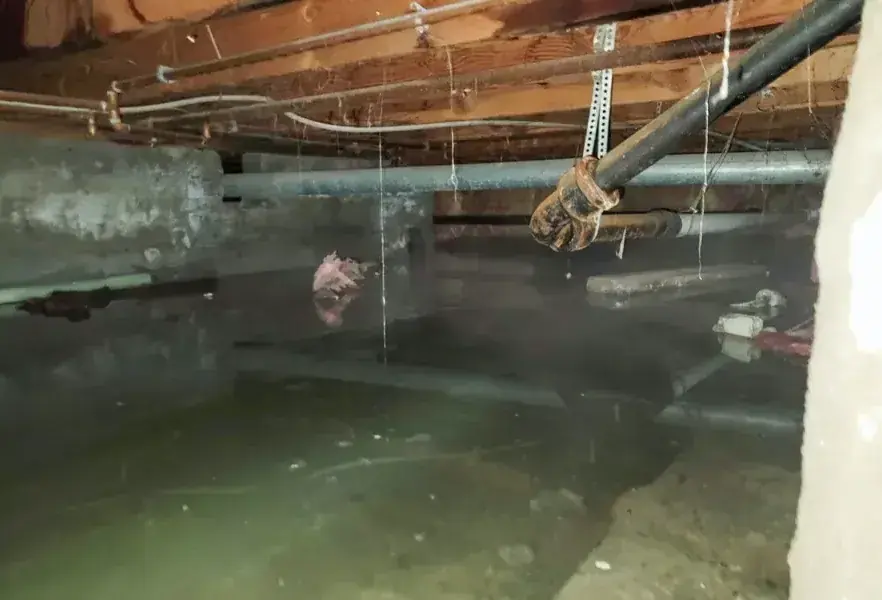 Standing water pooled in the crawl space under a raised wood-frame house